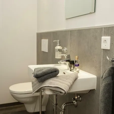Comfort 4 Persons Apartment Winterberg